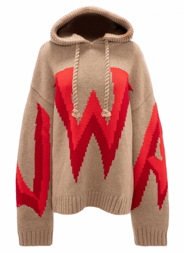 REYERlooks-JW-Anderson-Strick-Hoodie-EUR-750.jpg